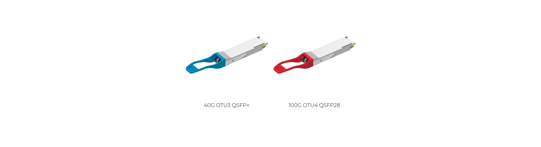 40G-100G OTN product images