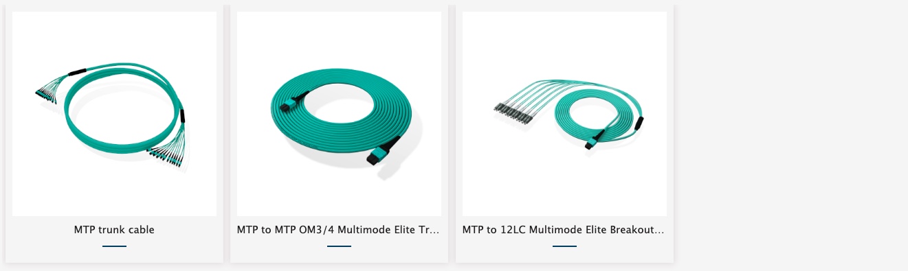 MPO Patch Cords (1)